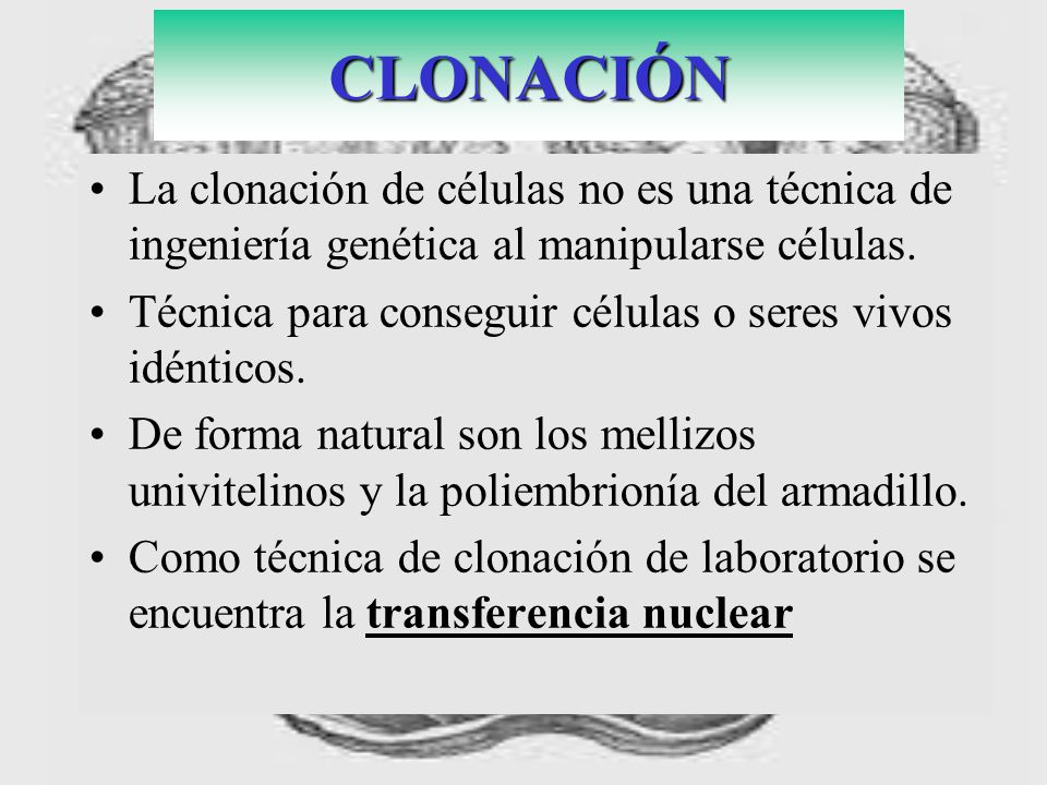 CLONACIÓN La clonación de células no es una técnica de ingeniería genética al manipularse células.