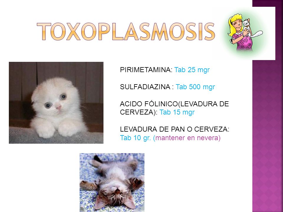 TOXOPLASMOSIS PIRIMETAMINA: Tab 25 mgr SULFADIAZINA : Tab 500 mgr