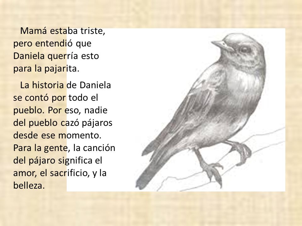 Mamá estaba triste, pero entendió que Daniela querría esto para la pajarita.