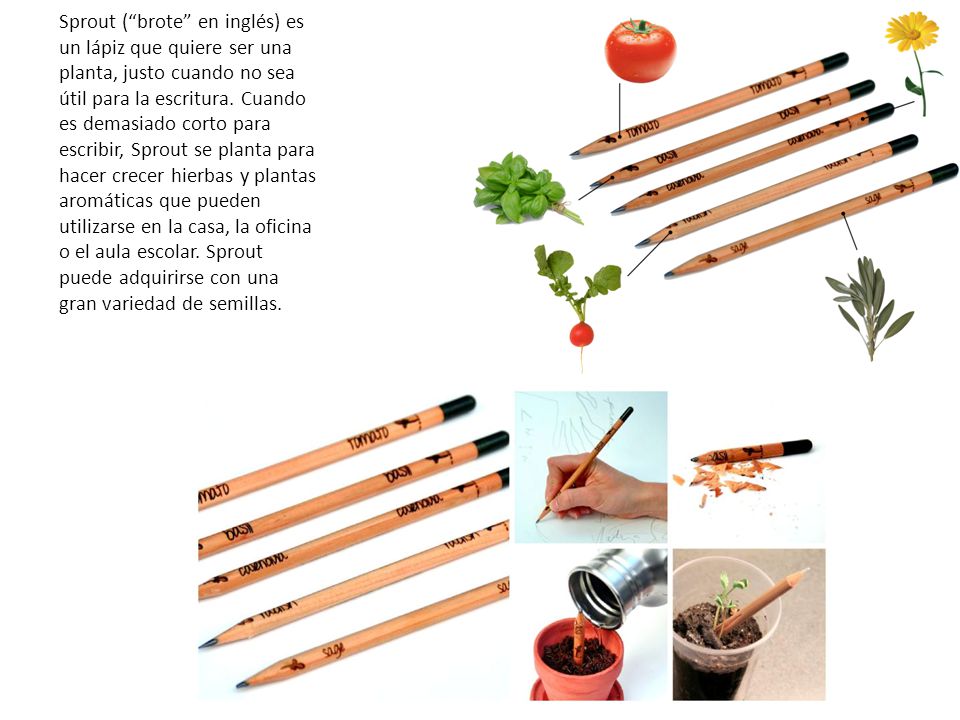 Sprout ( brote en inglés) es un lápiz que quiere ser una planta, justo cuando no sea útil para la escritura.