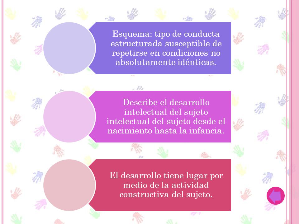 Esquema: tipo de conducta estructurada susceptible de repetirse en condiciones no absolutamente idénticas.