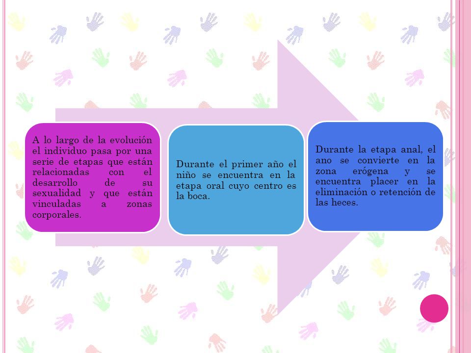 A lo largo de la evolución el individuo pasa por una serie de etapas que están relacionadas con el desarrollo de su sexualidad y que están vinculadas a zonas corporales.