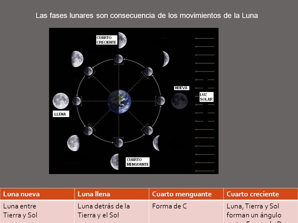 Las fases lunares son consecuencia de los movimientos de la Luna