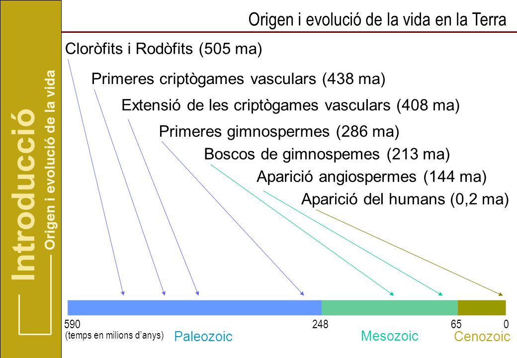Introducció Origen i evolució de la vida en la Terra