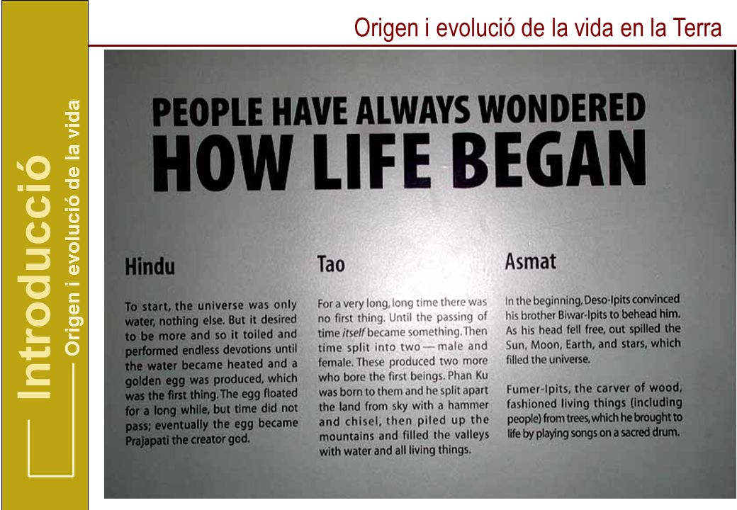 Introducció Origen i evolució de la vida en la Terra
