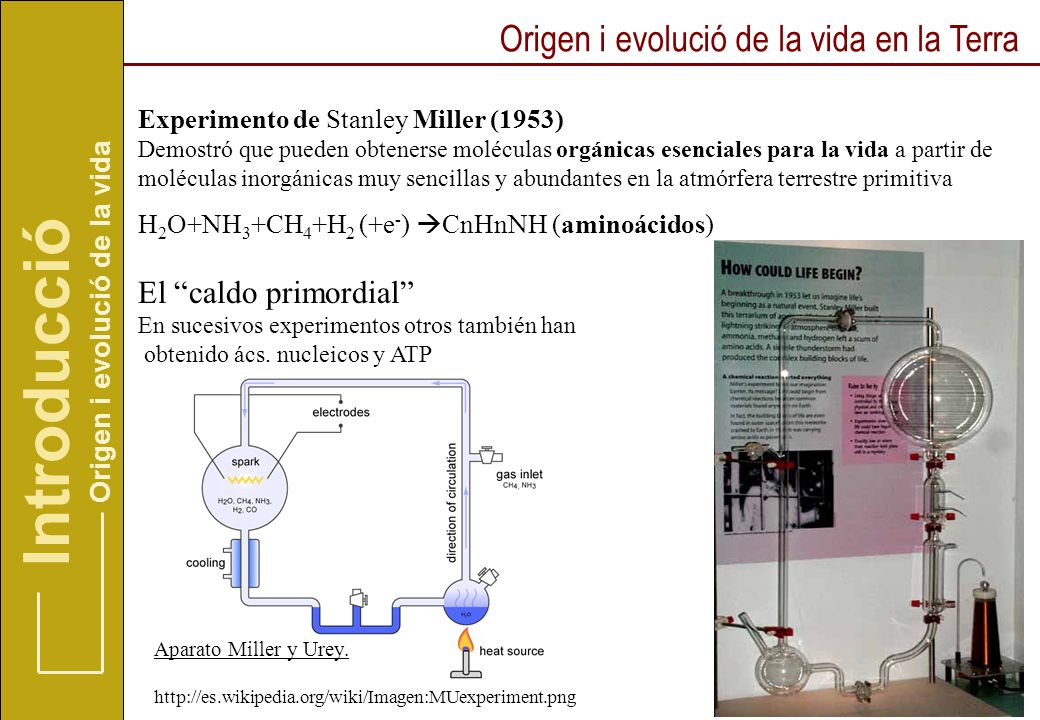 Introducció Origen i evolució de la vida en la Terra