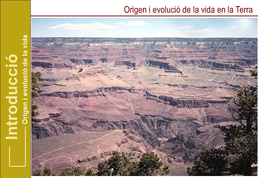Introducció Origen i evolució de la vida en la Terra