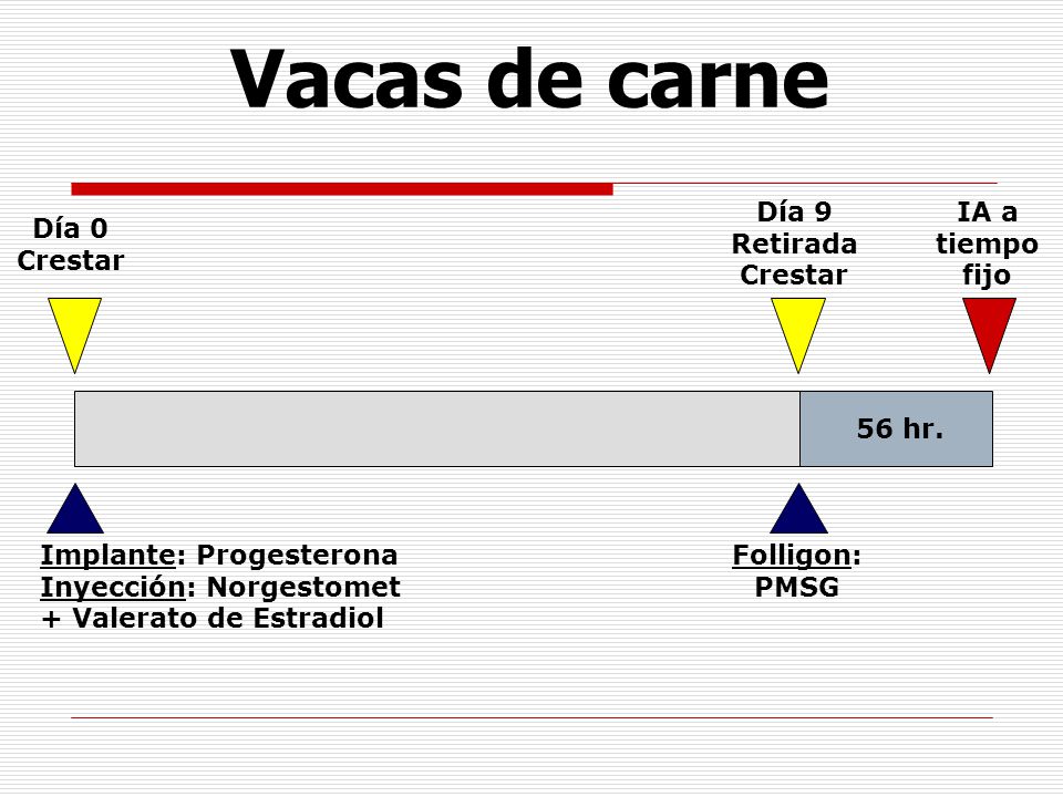 Vacas de carne Día 9 Retirada Crestar IA a tiempofijo Día 0 Crestar