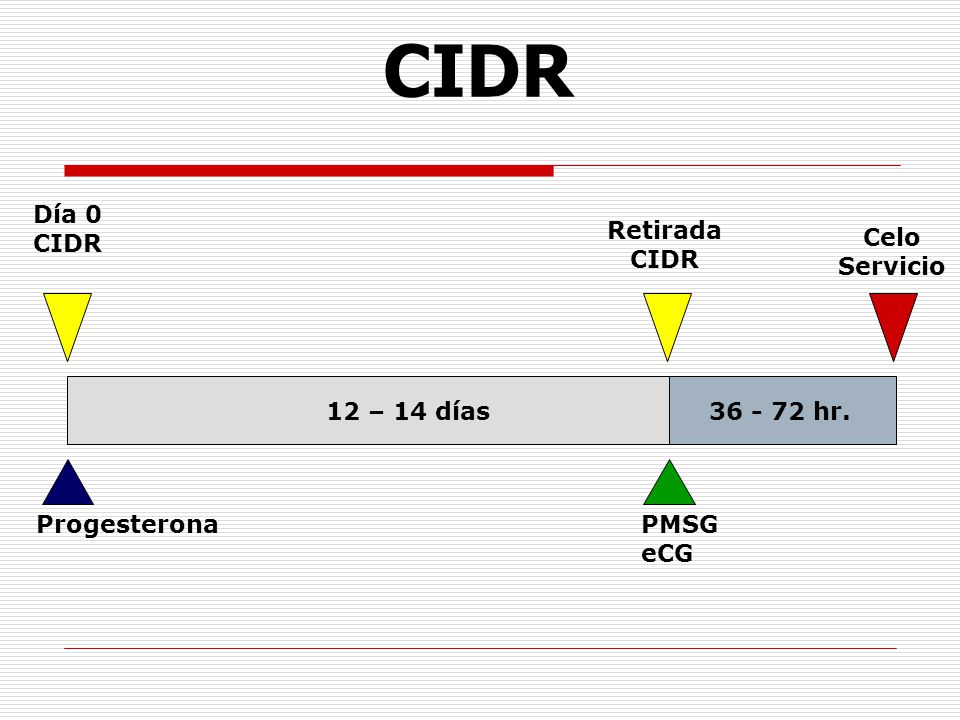 CIDR Día 0 CIDR Retirada CIDR Celo Servicio 12 – 14 días hr.