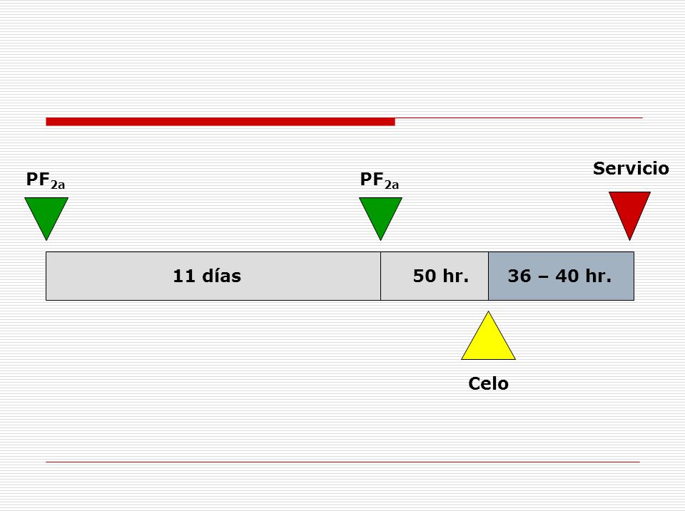 Servicio PF2a PF2a 11 días 50 hr. 36 – 40 hr. Celo
