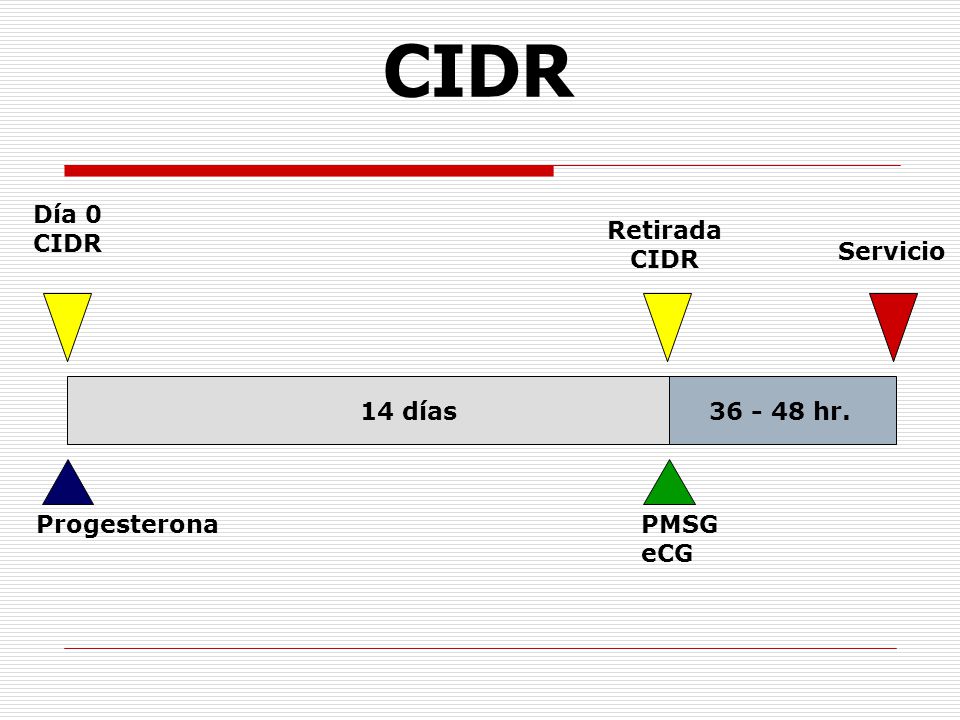 CIDR Día 0 CIDR Retirada CIDR Servicio 14 días hr.
