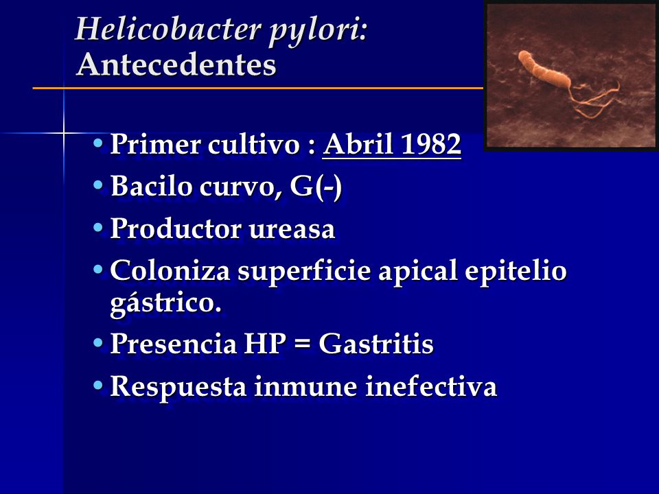 Helicobacter pylori: Antecedentes