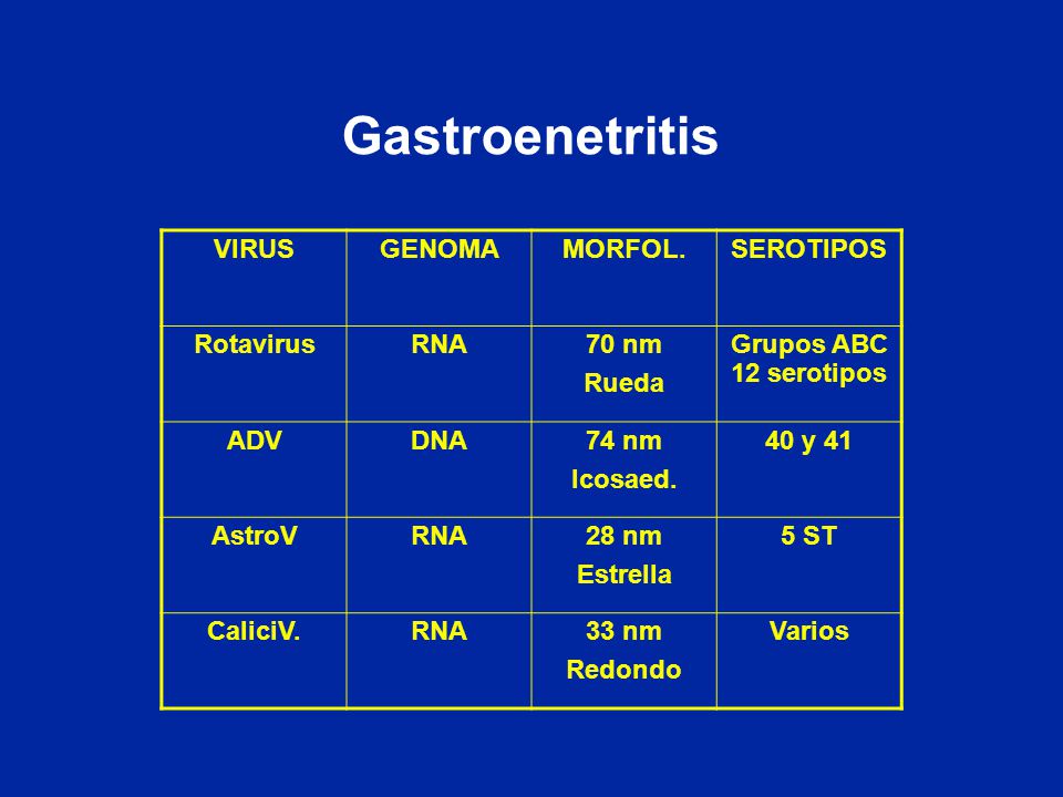 Gastroenetritis VIRUS GENOMA MORFOL. SEROTIPOS Rotavirus RNA 70 nm
