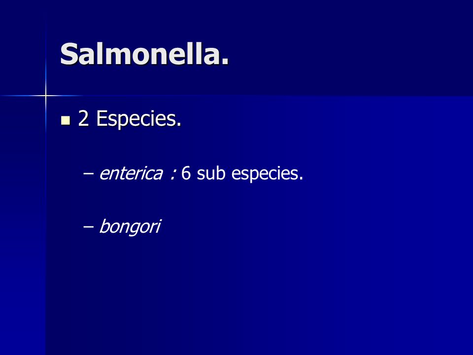 Salmonella. 2 Especies. enterica : 6 sub especies. bongori