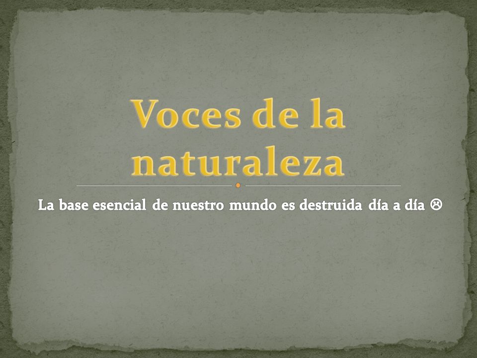 La base esencial de nuestro mundo es destruida día a día 