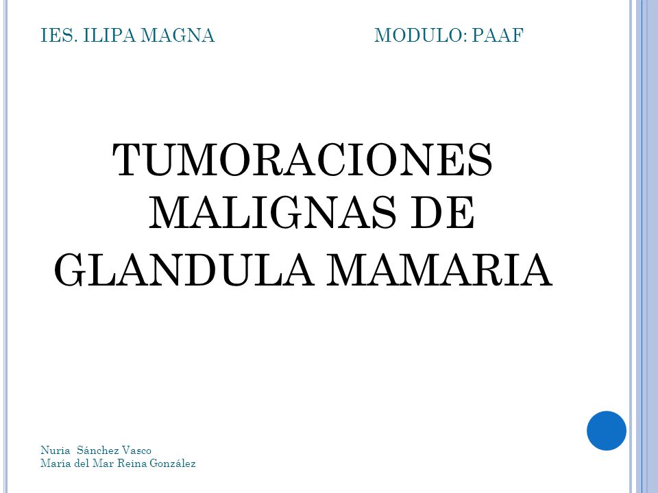 IES. ILIPA MAGNA MODULO: PAAF
