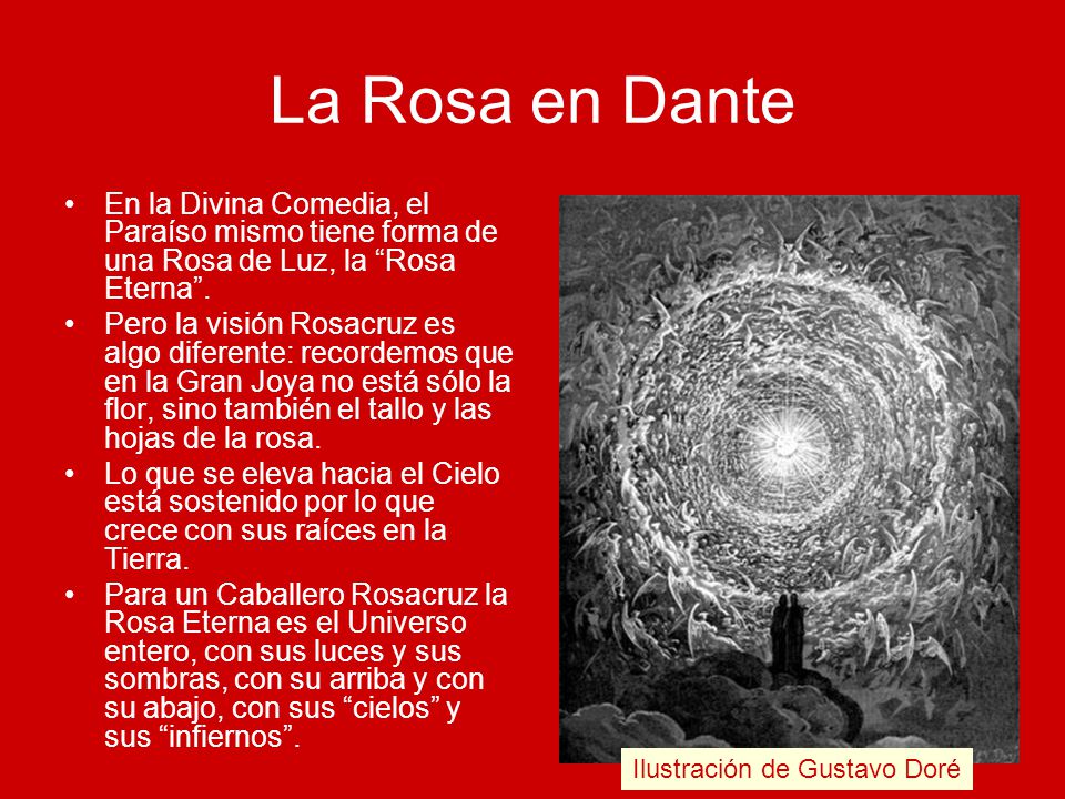 La Rosa en Dante En la Divina Comedia, el Paraíso mismo tiene forma de una Rosa de Luz, la Rosa Eterna .