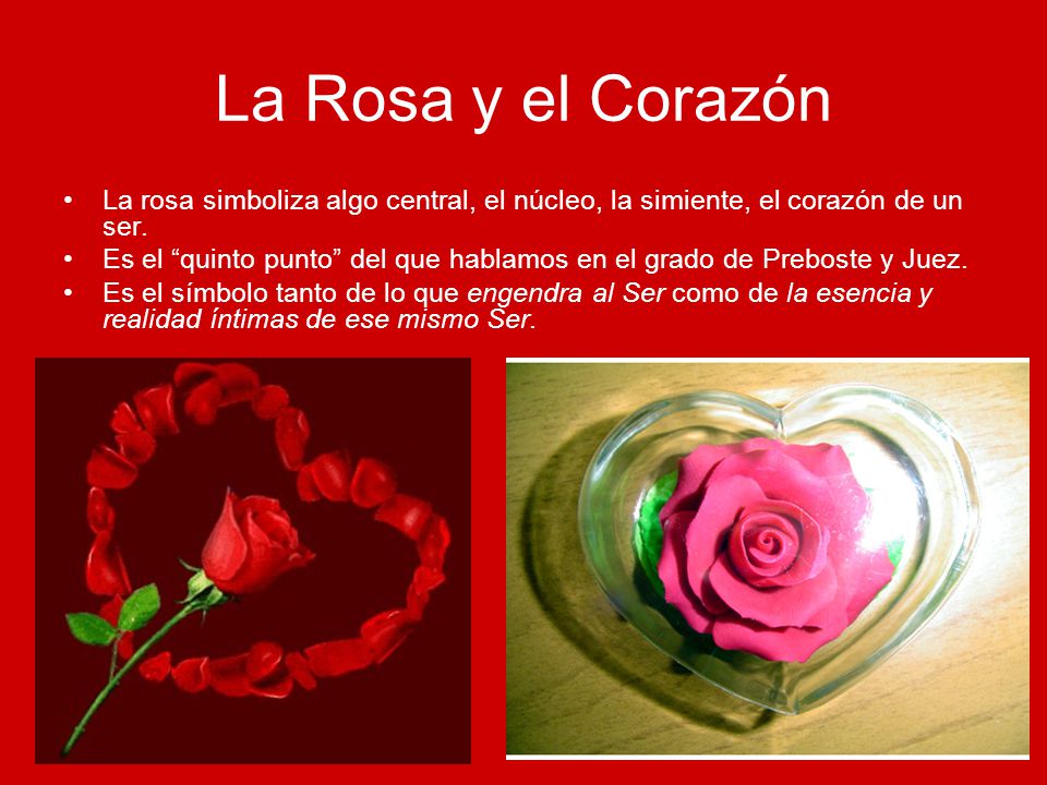 La Rosa y el Corazón La rosa simboliza algo central, el núcleo, la simiente, el corazón de un ser.