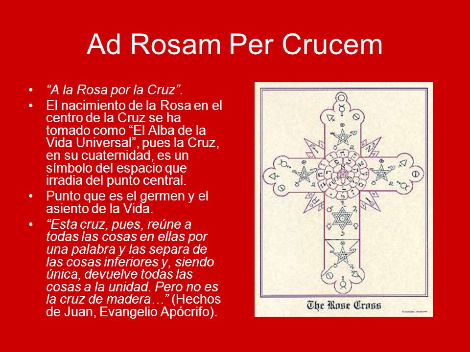 Ad Rosam Per Crucem A la Rosa por la Cruz .