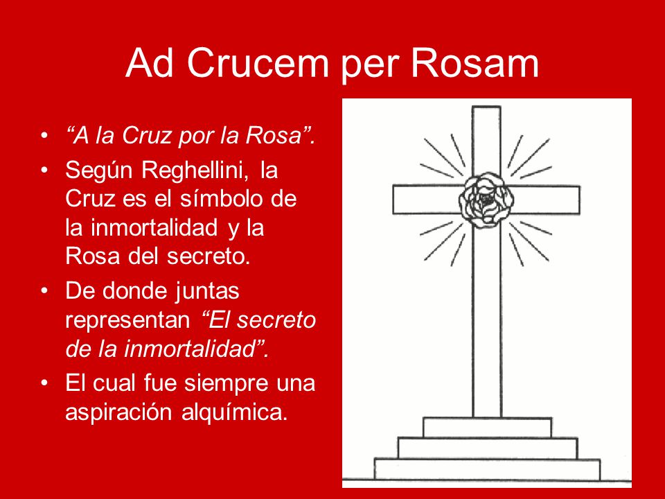 Ad Crucem per Rosam A la Cruz por la Rosa .