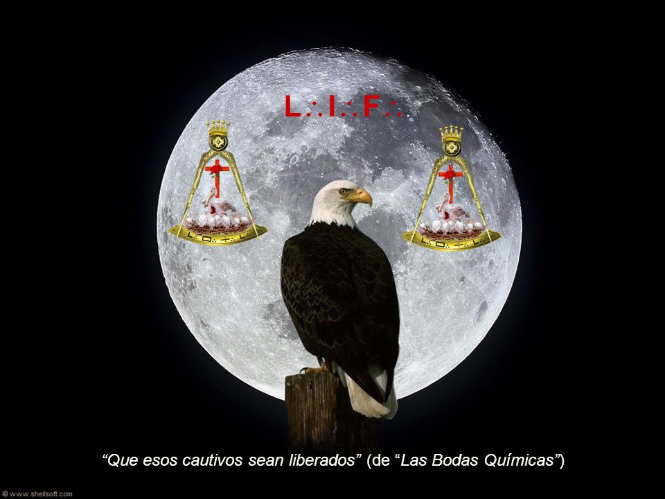El águila, el compás coronado y la Rosa-Cruz