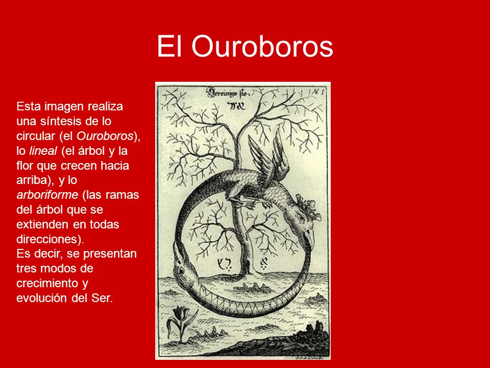 El Ouroboros Esta imagen realiza una síntesis de lo