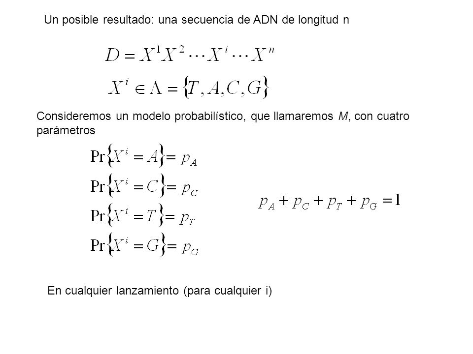 Un posible resultado: una secuencia de ADN de longitud n