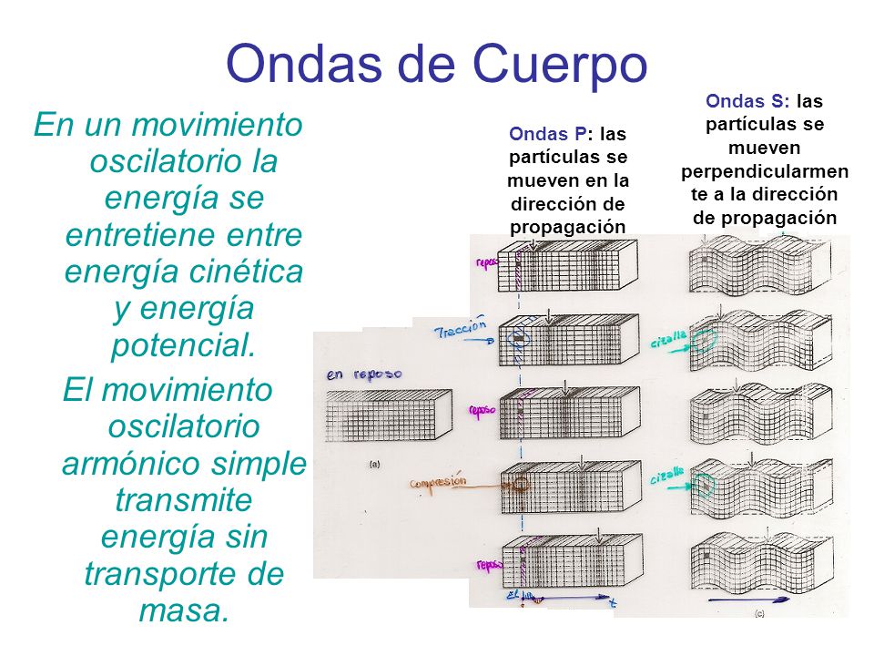 Ondas P: las partículas se mueven en la dirección de propagación