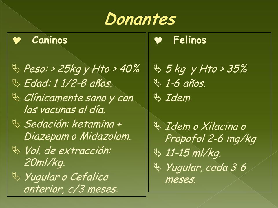 Caninos Peso: > 25kg y Hto > 40% Edad: 1 1/2-8 años. Clínicamente sano y con las vacunas al día. Sedación: ketamina + Diazepam o Midazolam.