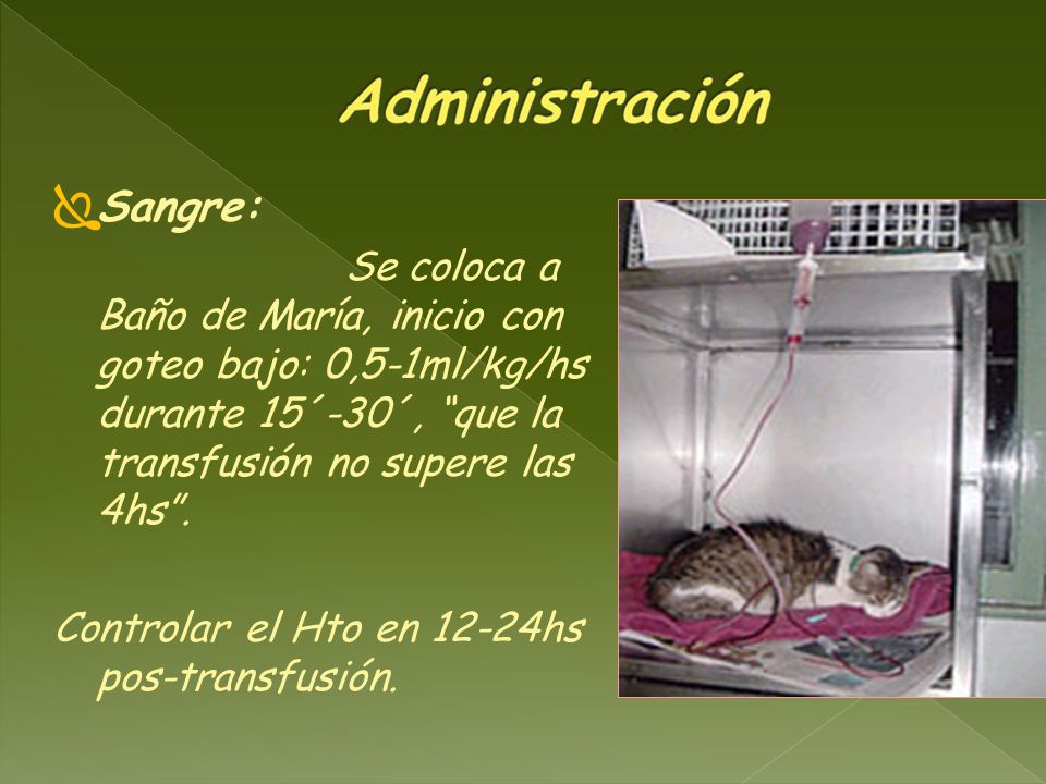 Sangre: Se coloca a Baño de María, inicio con goteo bajo: 0,5-1ml/kg/hs durante 15´-30´, que la transfusión no supere las 4hs .