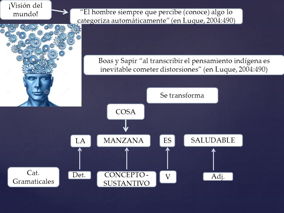 ¡Visión del mundo! El hombre siempre que percibe (conoce) algo lo categoriza automáticamente (en Luque, 2004:490)