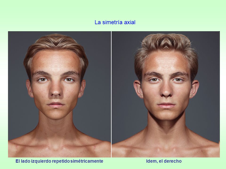 La simetría axial El lado izquierdo repetido simétricamente Idem, el derecho.