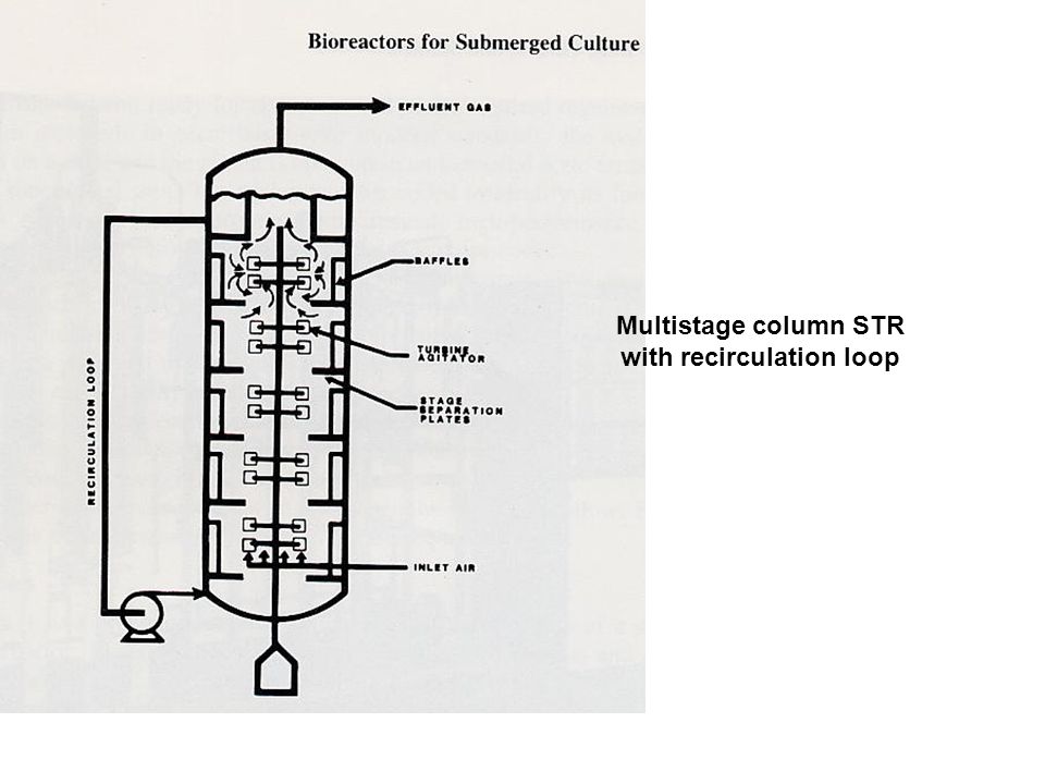 Multistage column STR with recirculation loop