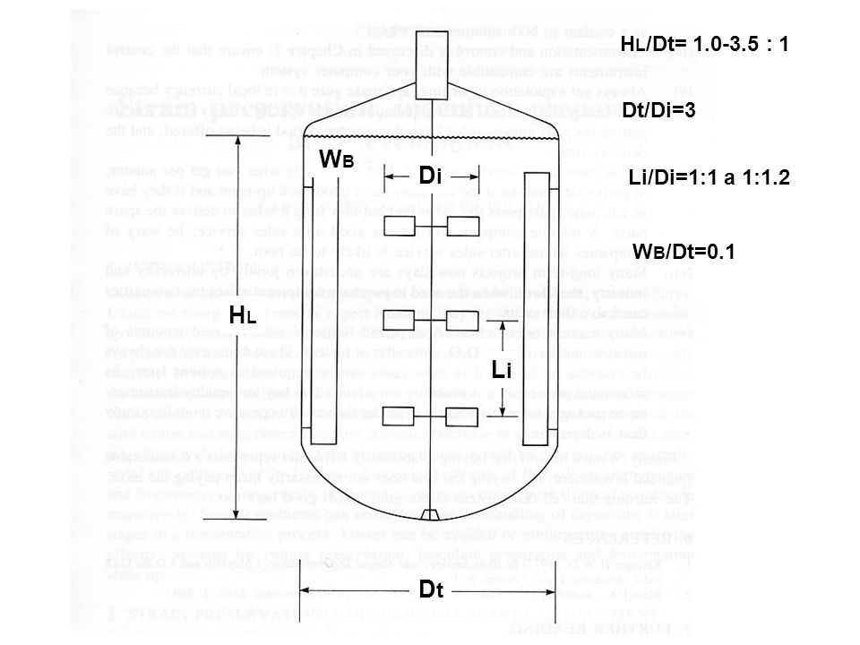 HL/Dt= : 1 Dt/Di=3 WB Di Li/Di=1:1 a 1:1.2 WB/Dt=0.1 HL Li Dt