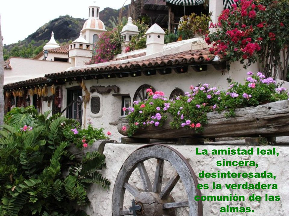La amistad leal, sincera, desinteresada, es la verdadera comunión de las almas.