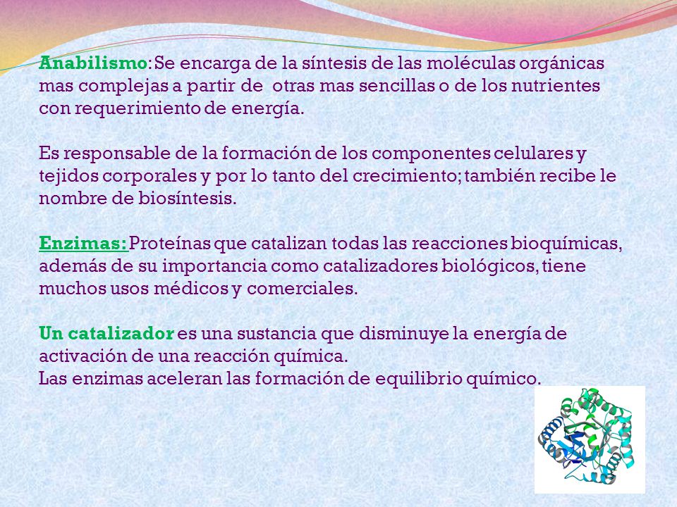 Anabilismo: Se encarga de la síntesis de las moléculas orgánicas mas complejas a partir de otras mas sencillas o de los nutrientes con requerimiento de energía.