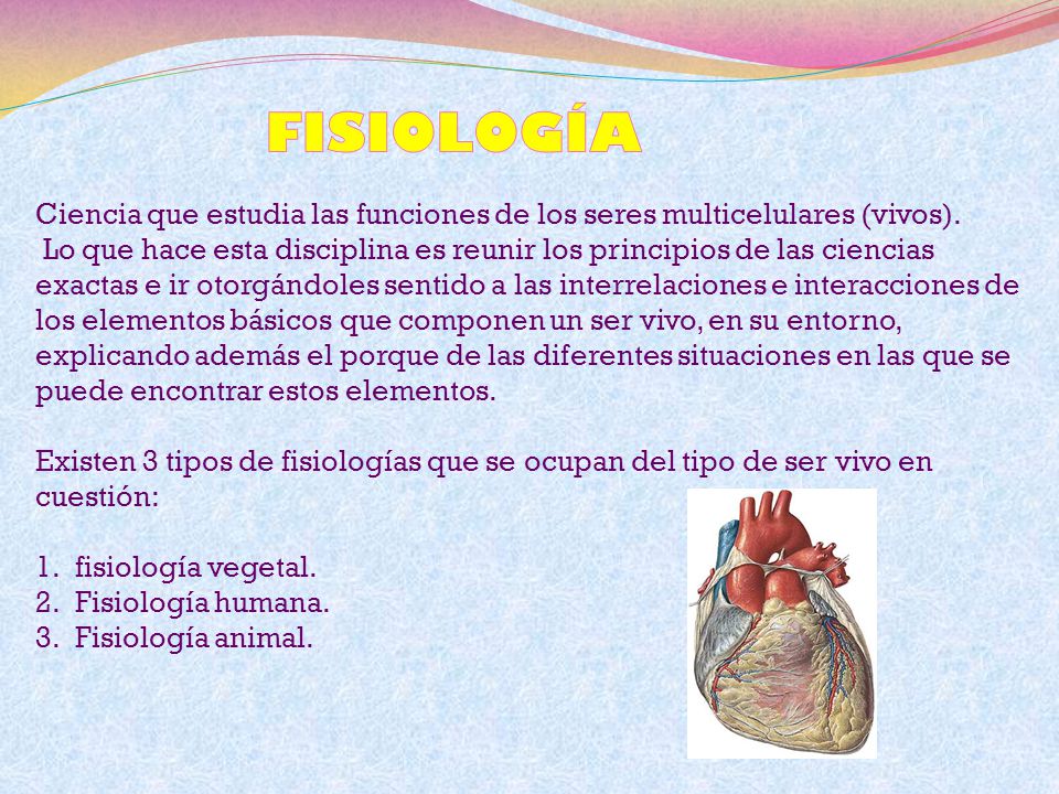 FISIOLOGÍA Ciencia que estudia las funciones de los seres multicelulares (vivos).