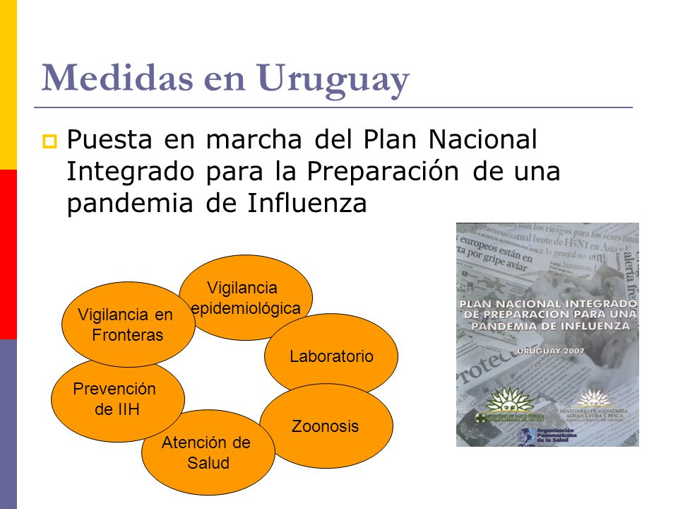 Medidas en Uruguay Puesta en marcha del Plan Nacional Integrado para la Preparación de una pandemia de Influenza.