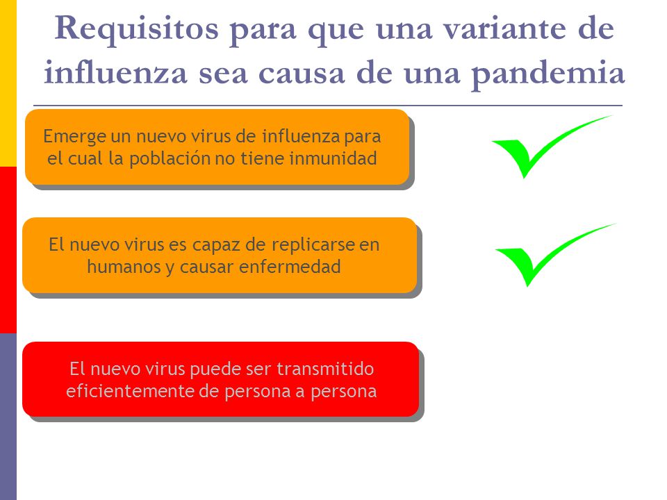 El nuevo virus es capaz de replicarse en humanos y causar enfermedad