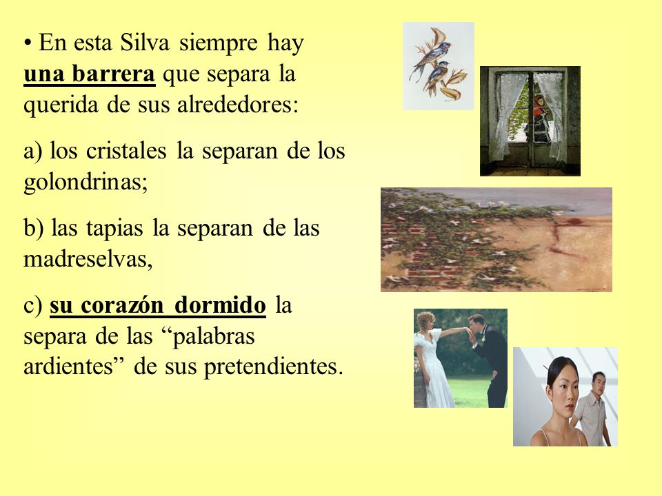 En esta Silva siempre hay una barrera que separa la querida de sus alrededores: