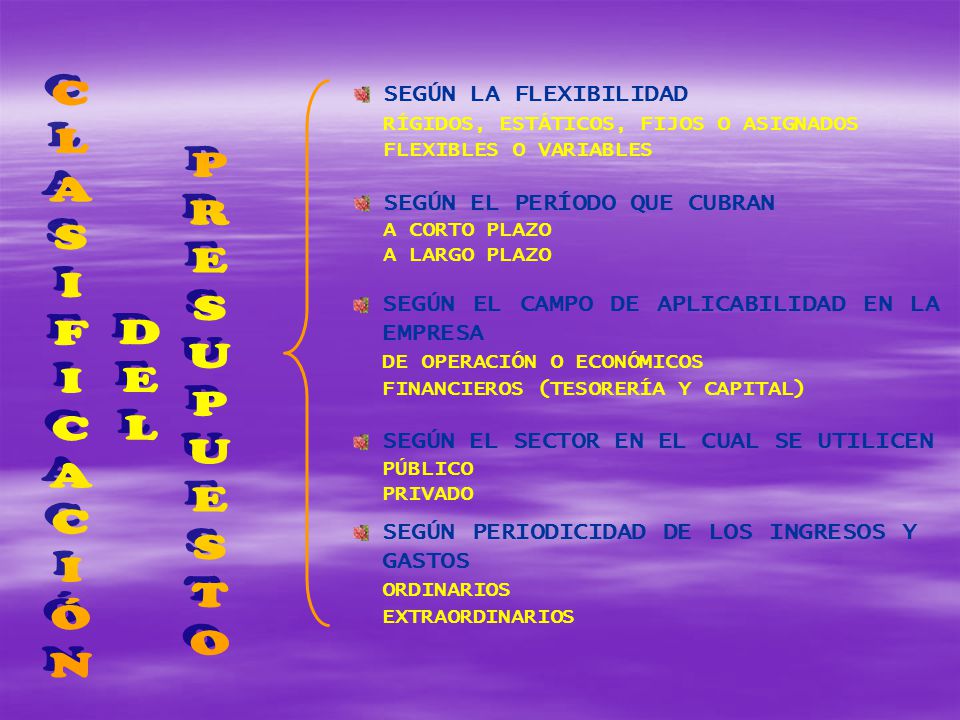 CLASIFICACIÓN DEL PRESUPUESTO