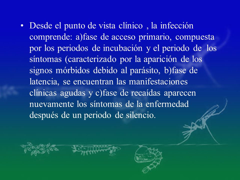 Desde el punto de vista clínico , la infección comprende: a)fase de acceso primario, compuesta por los periodos de incubación y el periodo de los síntomas (caracterizado por la aparición de los signos mórbidos debido al parásito, b)fase de latencia, se encuentran las manifestaciones clínicas agudas y c)fase de recaídas aparecen nuevamente los síntomas de la enfermedad después de un periodo de silencio.