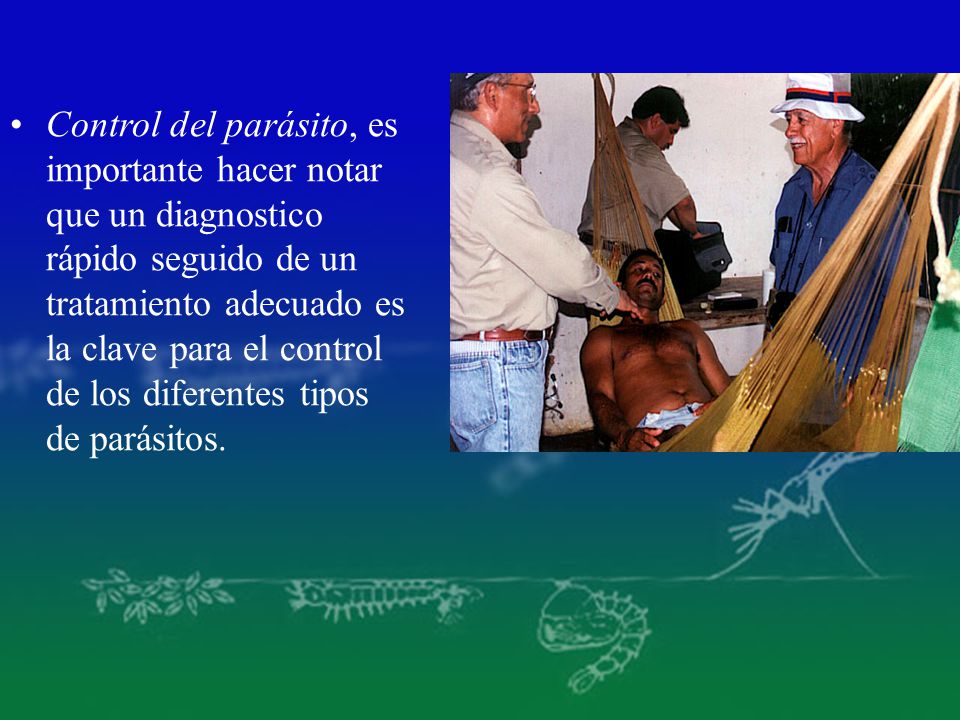 Control del parásito, es importante hacer notar que un diagnostico rápido seguido de un tratamiento adecuado es la clave para el control de los diferentes tipos de parásitos.