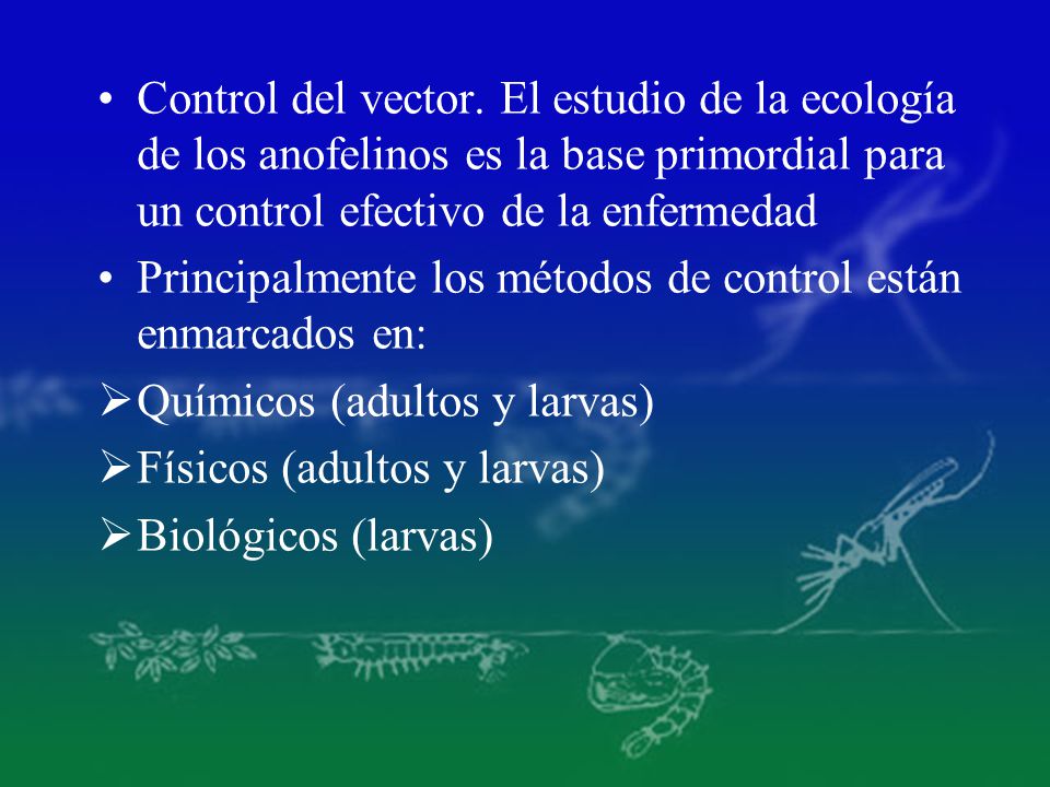 Control del vector. El estudio de la ecología de los anofelinos es la base primordial para un control efectivo de la enfermedad