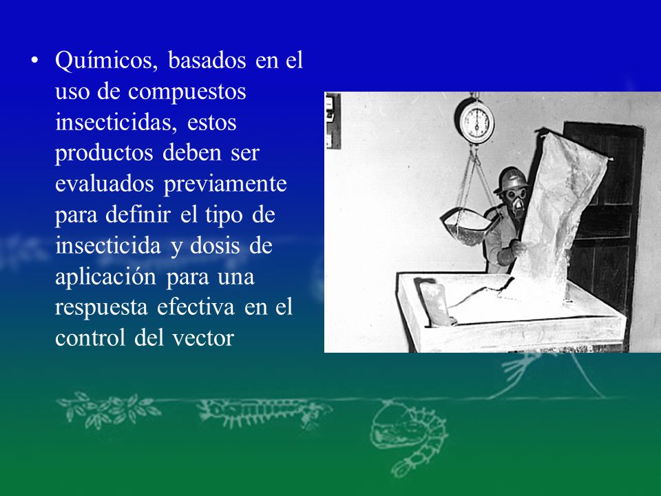 Químicos, basados en el uso de compuestos insecticidas, estos productos deben ser evaluados previamente para definir el tipo de insecticida y dosis de aplicación para una respuesta efectiva en el control del vector