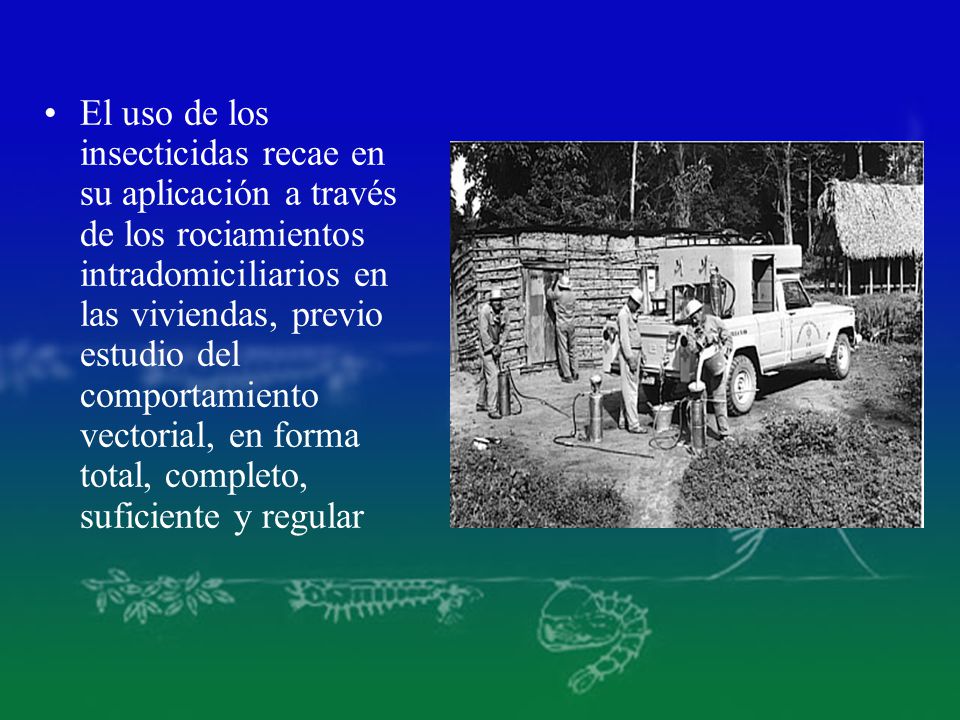 El uso de los insecticidas recae en su aplicación a través de los rociamientos intradomiciliarios en las viviendas, previo estudio del comportamiento vectorial, en forma total, completo, suficiente y regular