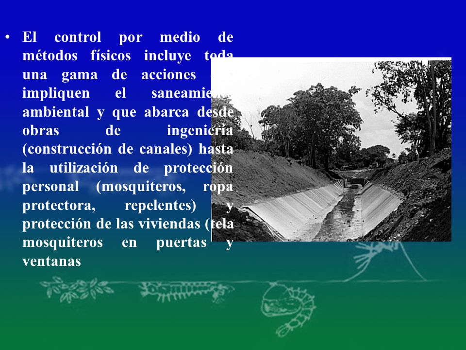 El control por medio de métodos físicos incluye toda una gama de acciones que impliquen el saneamiento ambiental y que abarca desde obras de ingeniería (construcción de canales) hasta la utilización de protección personal (mosquiteros, ropa protectora, repelentes) y protección de las viviendas (tela mosquiteros en puertas y ventanas