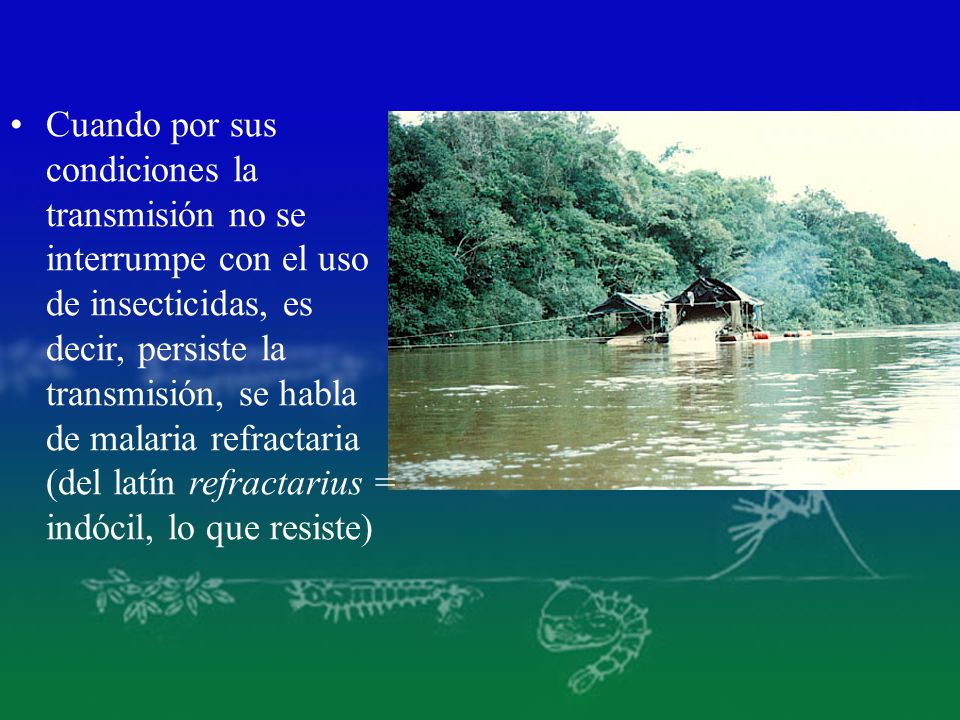 Cuando por sus condiciones la transmisión no se interrumpe con el uso de insecticidas, es decir, persiste la transmisión, se habla de malaria refractaria (del latín refractarius = indócil, lo que resiste)