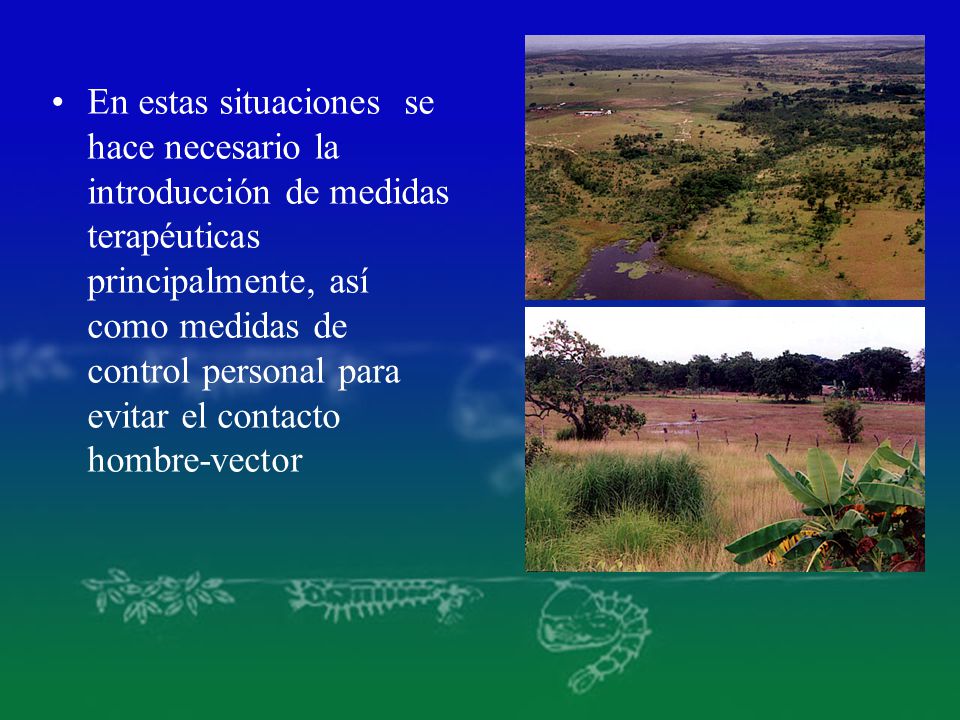 En estas situaciones se hace necesario la introducción de medidas terapéuticas principalmente, así como medidas de control personal para evitar el contacto hombre-vector