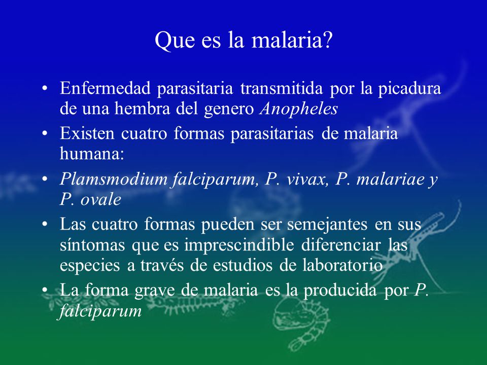 Que es la malaria Enfermedad parasitaria transmitida por la picadura de una hembra del genero Anopheles.
